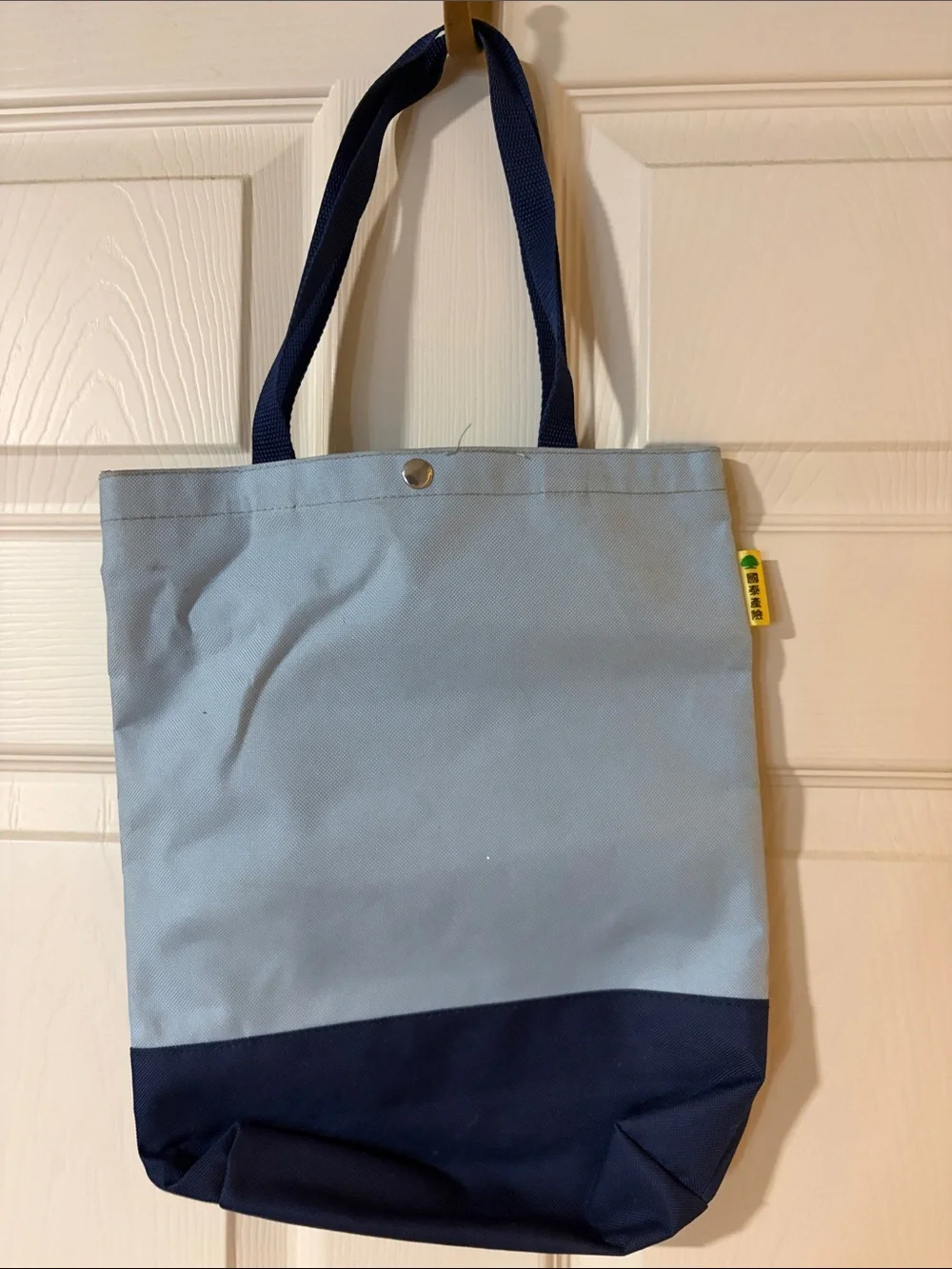 Peanuts Snoopy & Woodstock Skate Tote in Light Blue and Navy